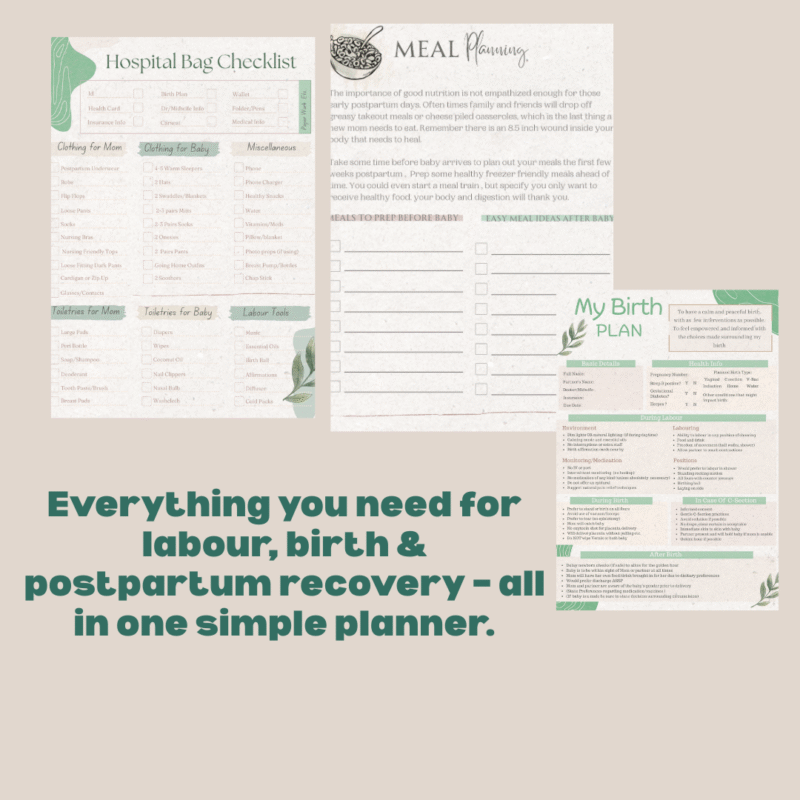 Postpartum Planner with Birth Plan & Hospital Bag Checklist Printable - Image 3