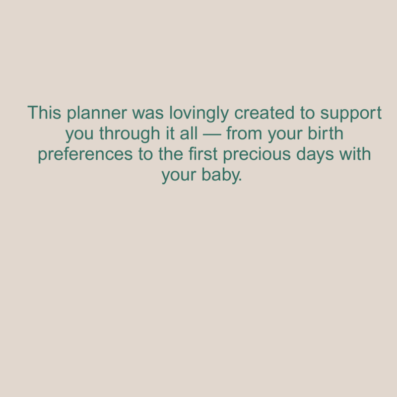 Postpartum Planner with Birth Plan & Hospital Bag Checklist Printable - Image 4